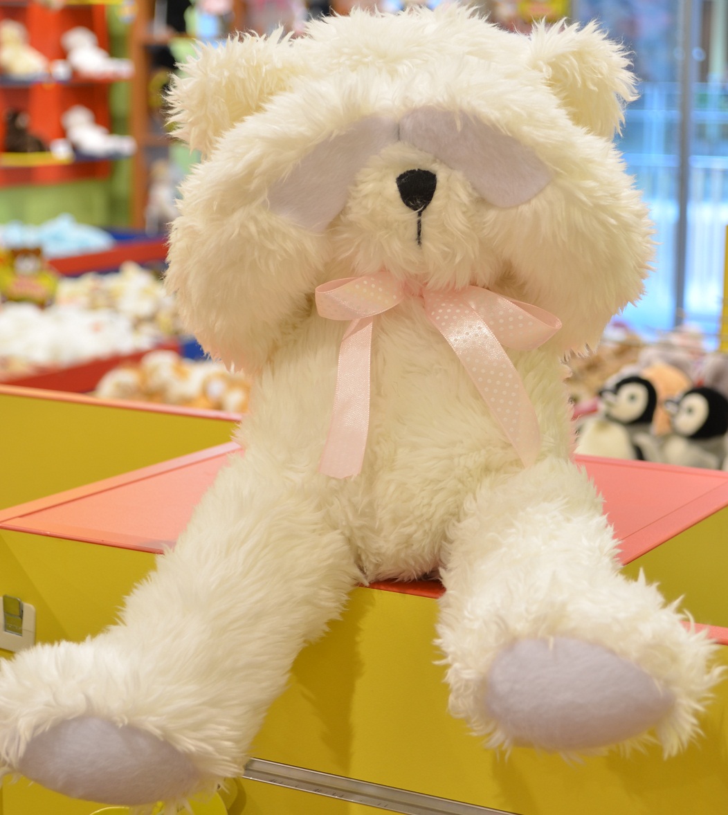 SHY BEAR